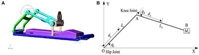 An Advanced Adaptive Control of Lower Limb Rehabilitation Robot